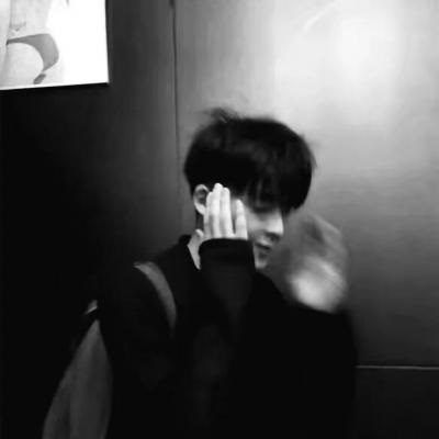 兽设治愈风格绘画兽圈社群